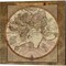 Damask World Map by Elizabeth Medley 14" x 14" Canvas Wall Art (Set of 2)